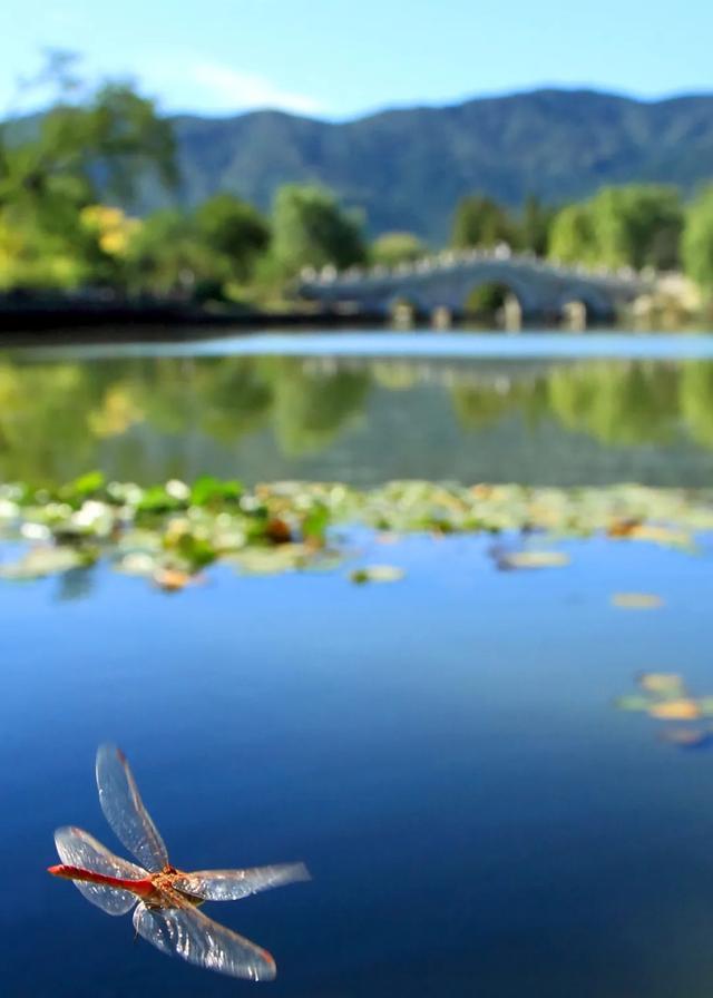 今日大暑丨迎風沐雨，憧憬未來(圖5)