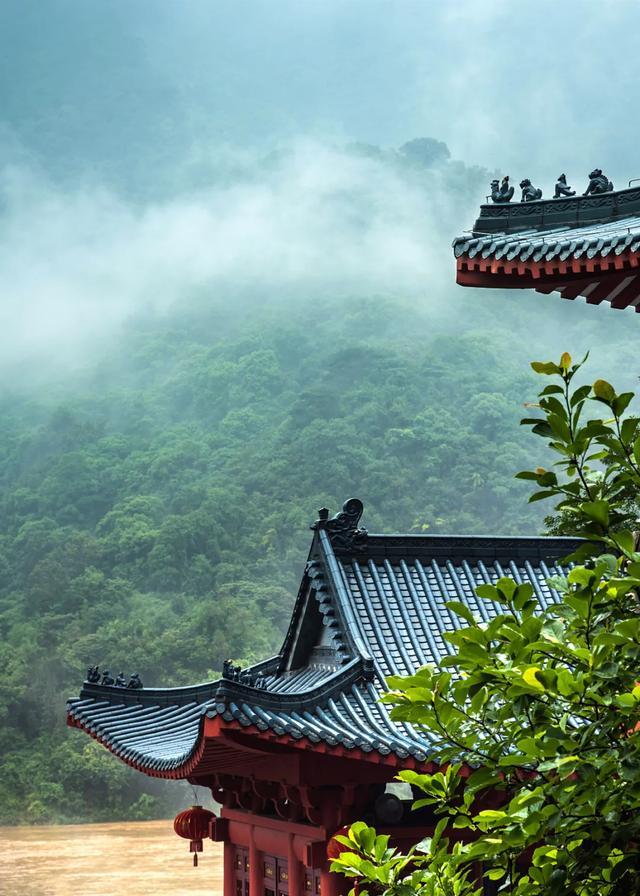 今日大暑丨迎風沐雨，憧憬未來(圖3)