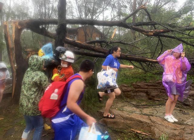 臺(tái)風(fēng)“米克拉”登陸福建漳浦 景區(qū)樹倒游客被困(圖3)