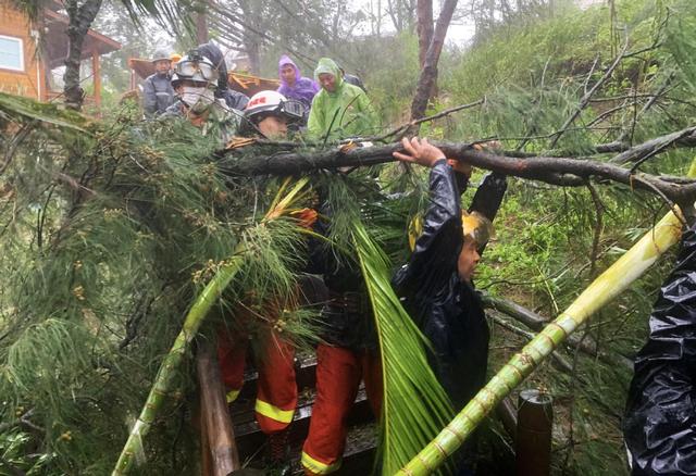 臺(tái)風(fēng)“米克拉”登陸福建漳浦 景區(qū)樹倒游客被困(圖4)