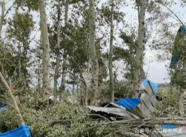 綏化突遭龍卷風(fēng)襲擊，房蓋在天上飛！村民：我70歲沒見過這事(圖6)